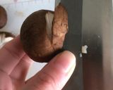 料理が華やかになる椎茸の飾り切り★作り方2写真