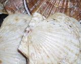 バーベキューに！ホタテ等二枚貝の焼き方！作り方1写真