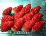 Strawberry チーズケーキ作り方8写真