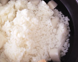 切り餅でトロトロ♪簡単！タイ風おかゆ作り方1写真