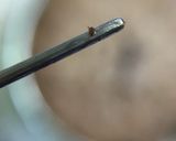 ガトーショコラ作り方10写真