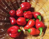ハバネロみそ作り方1写真