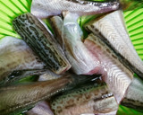 はたはた(他の魚でも)簡単トマトチーズ煮作り方1写真