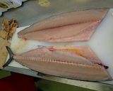 サワラのさばき方作り方8写真