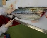 サワラのさばき方作り方10写真