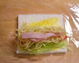 塩焼そばのサラダラップロール作り方6写真