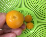 金柑の甘露煮作り方1写真