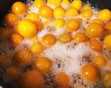 金柑の甘露煮作り方3写真