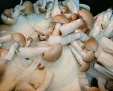 ヨシダグルメのたれで簡単‼親子丼作り方3写真