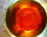 筍と蒟蒻の土佐煮作り方6写真