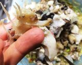◎おウチで居酒屋 簡単 タラの共和え◎作り方5写真