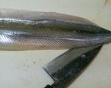 焼き魚の七草寿司作り方5写真