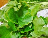 【大根葉活用】生ふりかけ～大根菜めし用～作り方4写真