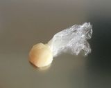 スイートポテト作り方6写真