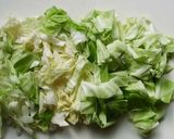 キャベツ大量消費！基本のキャベツの浅漬け作り方1写真