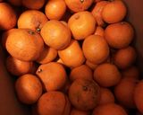 りんごとみかんのフルーティーなカレー。作り方1写真