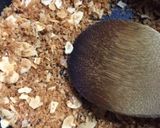 りんごのワイン煮作り方4写真