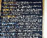 Nelson Cheese Factory作り方8写真