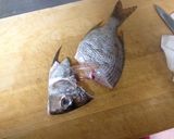 【釣食】メイチダイの刺身作り方4写真