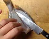 【釣食】メイチダイの刺身作り方6写真