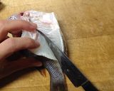 【釣食】メイチダイの刺身作り方5写真
