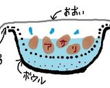 簡単美味♪アサリとネギの醤油バター風味作り方5写真