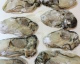 約10分でぷりっぷりの牡蠣醤油ソテー♪作り方1写真