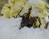 白菜とかぶの塩昆布漬け作り方2写真