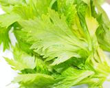 ごはんのお供に！セロリ葉のオリーブ油炒め作り方1写真