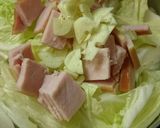 コンソメ不使用。超簡単！白菜のスープ作り方1写真