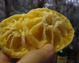 これで失敗！煮ても焼いてもリンゴ！作り方4写真