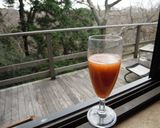 夏みかんとぐずぐず柿で作る美味ジュース作り方9写真