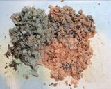 魚ラッステガーイ（ロシアのピロシキ）作り方4写真
