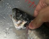 あじの3枚おろし(簡単、初心者でも)作り方1写真