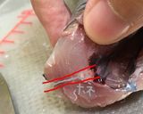 あじの3枚おろし(簡単、初心者でも)作り方12写真