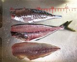 あじの3枚おろし(簡単、初心者でも)作り方18写真
