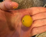 もちもち☆かぼちゃニョッキ☆2歳児大好き作り方4写真