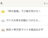 とろとろアイスの実作り方3写真