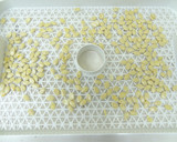 食品乾燥機でかぼちゃの種を乾燥作り方3写真