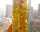 紅茶きのこ Kombucha で腸美人作り方12写真