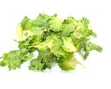 微粉砕機で野菜パウダー作り（レタス）作り方1写真
