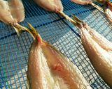 カマスの干物~天日干し・一夜干し~作り方3写真