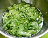 簡単！春菊を生で食べよう(イタリアン作り方2写真