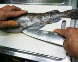 マグロ漁師流簡単タラの捌き方作り方1写真
