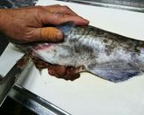 マグロ漁師流簡単タラの捌き方作り方2写真