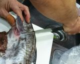 マグロ漁師流簡単タラの捌き方作り方6写真