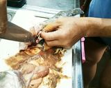 マグロ漁師流簡単タラの捌き方作り方10写真