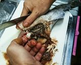 マグロ漁師流簡単タラの捌き方作り方11写真
