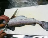 マグロ漁師流簡単タラの捌き方作り方18写真