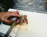 マグロ漁師流簡単タラの捌き方作り方21写真